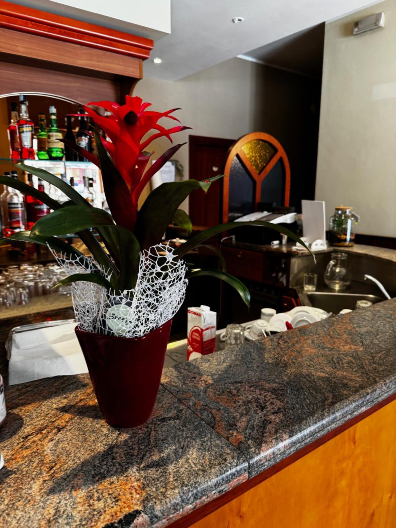 阿尔伯格卡拉酒店 圣马丁桥 外观 照片